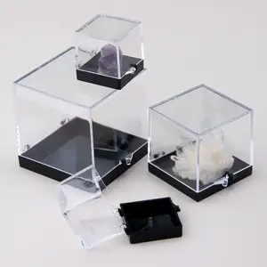 塑料容器标本盒盒透明矿物储存岩石珠宝硬币立方体亚克力塑料方形迷你宝石展示