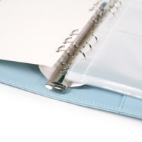 Organiseur de budget personnalisé A5 à spirale, planificateur à feuilles mobiles, suivi des factures, défi d'épargne sur 100 jours, carnet de notes
