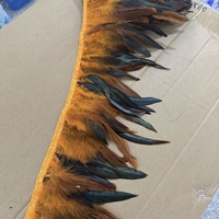 Plumes de Coq Schlappen Teintes en Gros, Franges de Plumes de Coq, Garniture de Plumes de Gallo pour Costumes, Vêtements, Carnaval, Décoration de Poulets