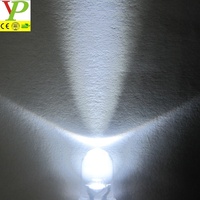 Diode LED de couleur blanche haute luminosité 5mm 1.5v 3.0-3.4V 6000-6500k 1000 pièces dans un sac