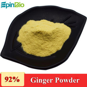 Poudre d'extrait de gingembre EpinBio de haute qualité 100 % naturelle de qualité alimentaire, 20 % de gingérols, 100 % passant le tamis 80 mesh, emballage sous vide en fût - Product Image 6