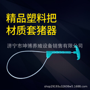 อุปกรณ์ยึดหมูคุนโบ สแตนเลสสีเขียว อุปกรณ์ปศุสัตว์สำหรับฟาร์ม - Product Image 4