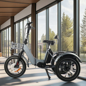Bafang M410 <span class=keywords><strong>Vélo</strong></span> <span class=keywords><strong>cargo</strong></span> électrique haut de gamme 48V 250W Moteur central 15AH Trike 3 roues avec tube Batterie au lithium - Product Image 3