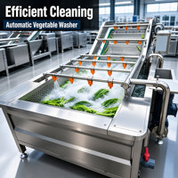 Commerciële luchtbelwasmachine voor groenten en vis, industriële fruitreiniger 2000kg/uur, ozonwasser