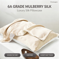 Taies d'oreiller double face personnalisées de luxe en soie 100% + Tencel 100% tissé, modernes, pour un sommeil profond, coffret cadeau