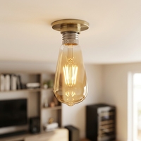 Ampoule LED ST58 E27 à filament droit, température de couleur 2200K, style Edison rétro décoratif, créative, en aluminium, avec variateur d'intensité, pour usage résidentiel