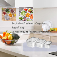 3 stuks plastic fruit- en groenteopslagcontainers, verwijderbare zeef, clip-on deksel, vriezerbestendig, multifunctionele koelkastopbergdoos