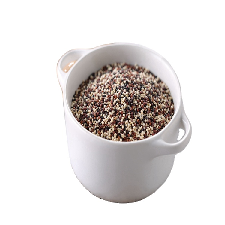 Bon prix protéine de qualité supérieure noir blanc rouge quinoa tricolore mélangé Quinoa Grain