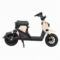 Moto électrique Paige avec cadre en acier au carbone 2000W 72V, vélo électrique pour adultes, moto électrique urbaine, scooter électrique haute vitesse