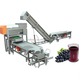 VBJX Semi Automatic Grapes Plant Mini Passion Aloe Vera Juice Making Machine Juicer For Dragon Fruit