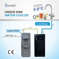 Distributeur Automatique Sous Évier en Acier Inoxydable Beelili pour Eau Potable, Refroidisseur d'Eau Froide et Système de Refroidissement