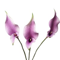Kunstbloemen 2-stengelige Calla Lelie Bloemstuk voor Huisdecoratie, Fotografie-accessoires en Bruidsboeketten