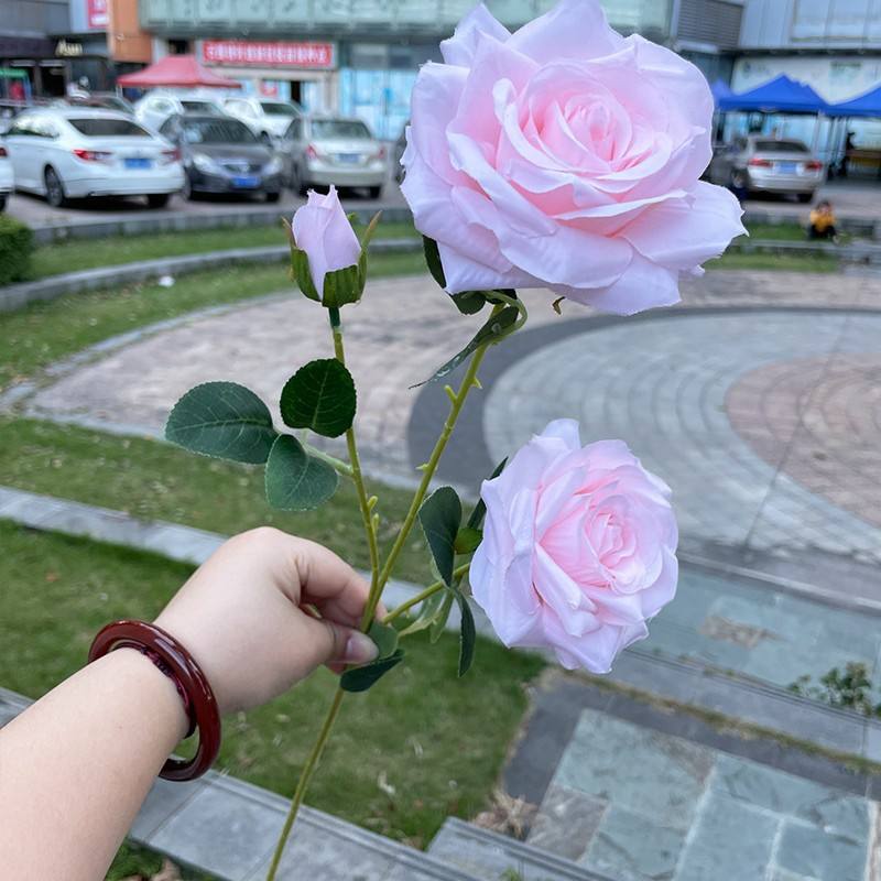 เพชร3หัวกุหลาบสีชมพู