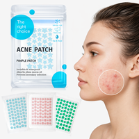 Patchs Hydrocolloïdes Anti-Acné à l'Acide Salicylique, Conception Étanche, Couleur Transparente, Tampons de Soin Ciblés pour la Protection des Imperfections Cutanées