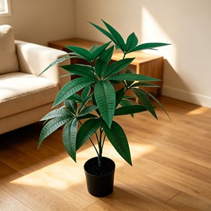 Follaje Vibrante Ovalado Fortune con Hojas Gruesas y Brillantes para Decoración de Entradas, Tiendas y Salas de Estar - Product Image 5