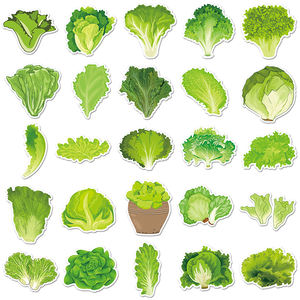 50pcs haute qualité dessin animé décoration autocollants Graffiti étanche légume laitue autocollant - Product Image 3