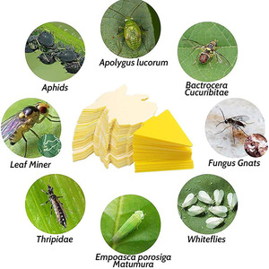 Piège à insectes collant double face en forme de papillon YUMO, jaune, pour mouches des fruits, moucherons, insectes volants - Jardin, maison, protection des plantes - Product Image 5