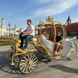 Fabricant professionnel de calèches royales électriques de luxe à double usage pour mariages et visites touristiques, calèche de tourisme européenne - Product Image 2