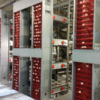 Cage à poules pondeuses entièrement automatique de type H, grande capacité (3-12 niveaux), pour l'élevage industriel de poulets
