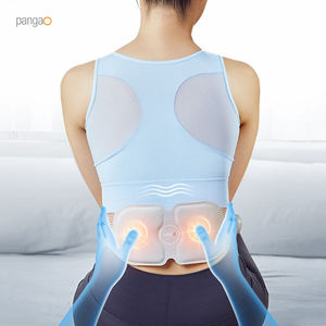 電気加熱深部組織刺激装置10療法Ems腹部バックウエストマッスルマッサージベルトマシン - Product Image 1