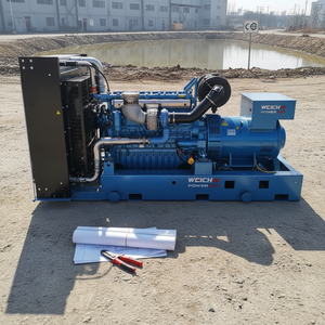 Grupo Electrógeno Diésel Silencioso Stanford AG 300KW 375kVA 50/60 <span class=keywords><strong>Hertz</strong></span> Trifásico 110V 220V 380V Estándar CE - Product Image 1