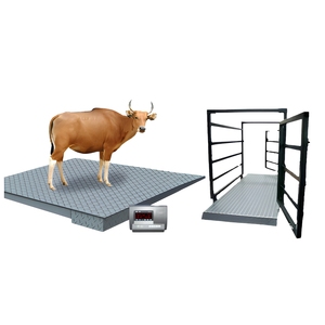 Balance de pesage robuste en acier inoxydable pour animaux (bovins, ovins et porcins), balance au sol personnalisée pour le bétail, OEM et ODM disponibles - Product Image 1