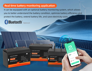 200ah 280ah 100AH 300ah 10kwh เก็บพลังงานที่บ้าน5kwh แบตเตอรี่ลิเธียมไอออนปิดกริดแบตเตอรี่พลังงานแสงอาทิตย์48โวลต์ - Product Image 6