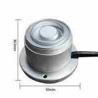 Capteur PAR sans fil LoRaWAN pour la mesure de la radiation photosynthétiquement active (PAR) 3.3V 5V 12V 24V, compatible avec les systèmes solaires, avec sortie 0-5V RS485 4-20mA