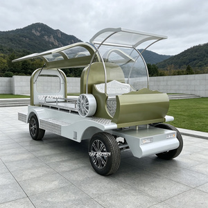 Carroza Fúnebre de Estilo Vintage con Chasis Robusto, Vehículo Funerario Elegante para el Transporte de Ataúdes, Apto para la Demanda del Mercado Global - Product Image 1