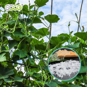 Qingdao <span class=keywords><strong>Soco</strong></span> Gel d'enracinement des plantes utilisé pour la culture de légumes Hidrogel Agricola - Product Image 6