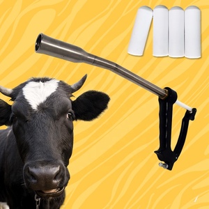 Étiquettes RFID d'identification animale HDX Bolus Ruminal Tag 134,2 KHz, implant biocéramique pour bovins, buffles, <span class=keywords><strong>angus</strong></span>, taureaux Em4305, gestion du bétail - Product Image 3