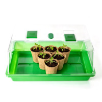 Plateau de Propagation Robuste pour Semences 38x24x18.5cm, Mini Serre avec Aérations pour la Germination et la Croissance des Jeunes Pousses