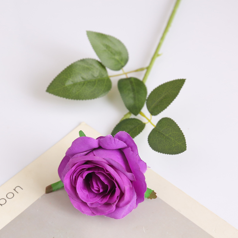 Pourpre