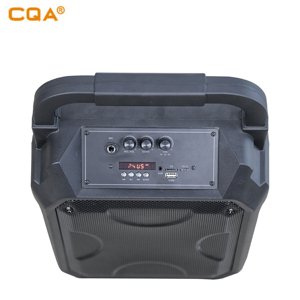 Cqa di động ukuran Hộp loa 8 inch ridgeway BS 2065 BT Loa - Product Image 3