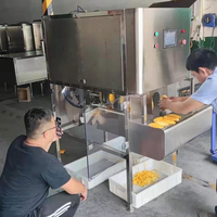 Automatische Fruit Dunschiller Machine Voor Mango 'S Appels Peren Kaki Avocado 'S Sinaasappels Verwerking In Fruit Verwerking Fabriek