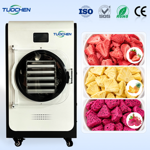 Macchina per Essiccazione Sottovuoto Completamente Automatica PLC da 4kg 5kg 6kg, Liofilizzatore per Alimenti - Product Image 1