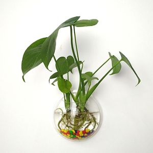 高級モダンエコフレンドリー透明アクリル壁掛け式水槽、バブルデザイン軽量アクアリウムボックス - Product Image 4