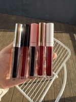 Teinture à lèvres végétalienne imperméable à l'eau longue durée 6 couleurs de marque privée cosmétiques personnalisables maquillage des lèvres bas quantité minimale de commande