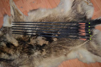 De haute qualité en carbone pur flèche flèche de chasse