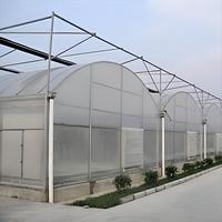 Serre agricole multi-chapelles de grande taille en polycarbonate de haute qualité avec structure en acier galvanisé à chaud et système hydroponique