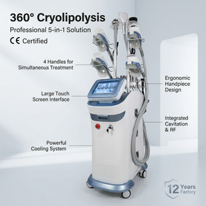 Máquina Profesional de Criolipólisis 360 para Uso en Salón y Hogar, Diseño Vertical de Metal para Glúteos, Brazos y Abdomen - Product Image 3