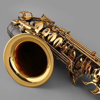 ALEX Saxophone Bb Tenor Sax Black Nickel Plating ATS-300NG for Beginner