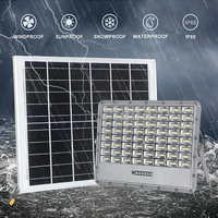 Projecteur solaire LED extérieur à panneau monocristallin en aluminium IP65, 3 ans de garantie, 50W à 300W, 2700K à 6500K, 170 lm par W