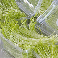 Récolteuse de micro-légumes Moxin à haute productivité, 3500 plateaux par jour pour les exploitations agricoles commerciales