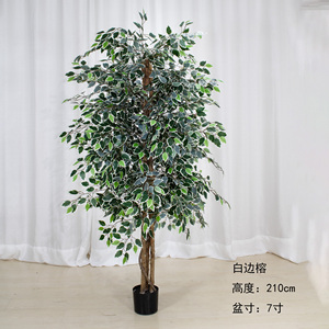 Bonsái Artificial de Plástico, Árbol de Banyan de Alta Calidad, Simulación de Árbol Verde en Maceta para Interiores, Sala de Estar, Jardín - Product Image 3