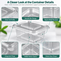 Transparante vierkante scharnierende voedselcontainer, wegwerp clamshell doos voor salade, fruit en afhaalmaaltijden
