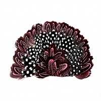 Plumes naturelles pour loisirs créatifs, accessoires de coiffure pour femmes, chapeaux, pinces à cheveux, bandeaux, fascinators, fleurs, décorations de mariage