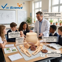 Simulateur d'accouchement avancé avec modèle de dilatation cervicale en 5 étapes pour laboratoire de compétences obstétricales CE ISO ROHS CNAS