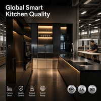 Muebles de Cocina Negros con Iluminación LED Inteligente, Gabinetes Modulares con Acabado Mate, Electrodomésticos Integrados, Conjunto de Muebles B2B