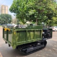 Livraison Gratuite – Mini-Dumper sur Chenilles de 2 Tonnes avec Déchargement Hydraulique, Transporteur sur Chenilles, Norme Euro 5 pour Travaux Agricoles et de Construction